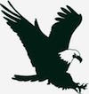 Swift Eagle Charitable Foundation